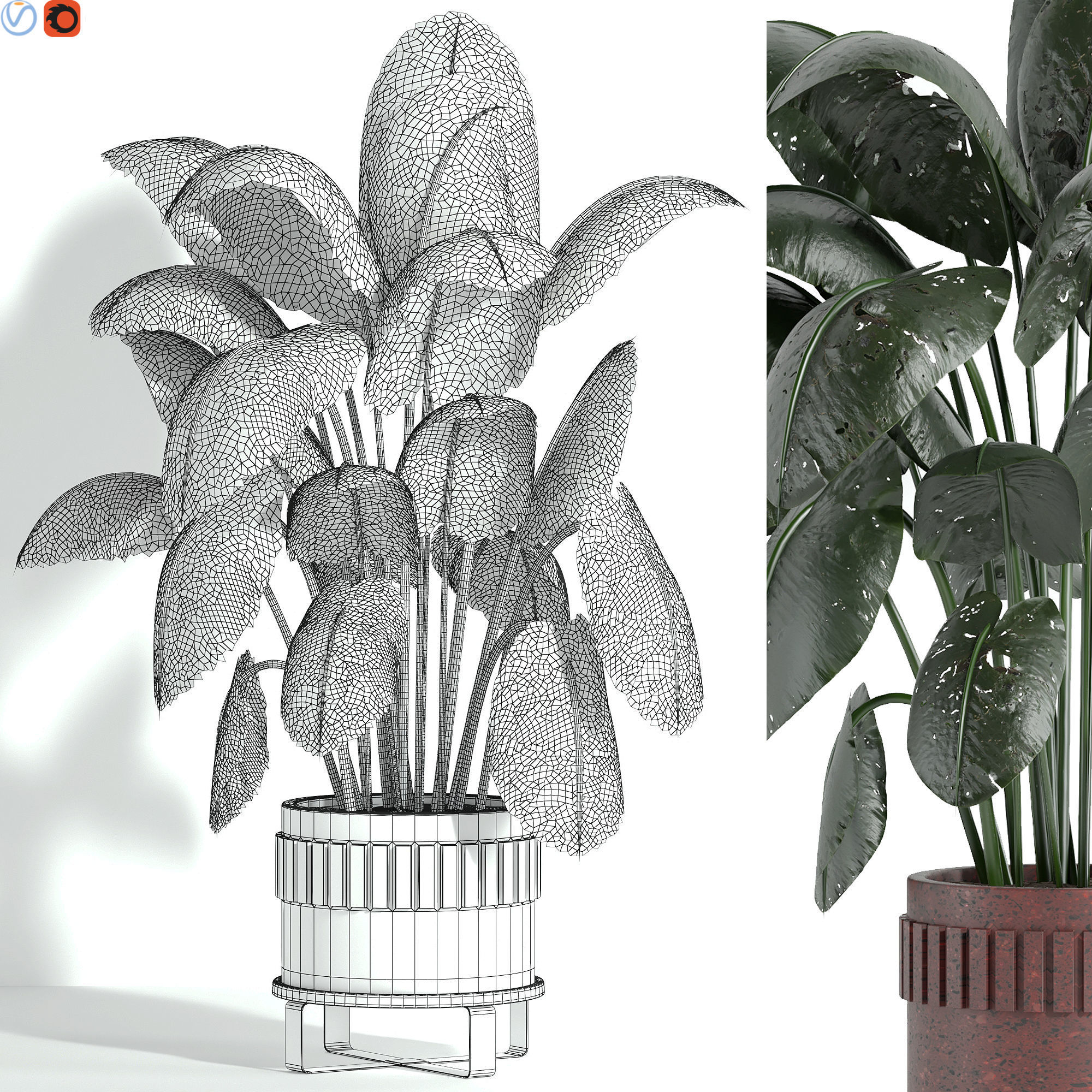 indoor plants 3D model_2