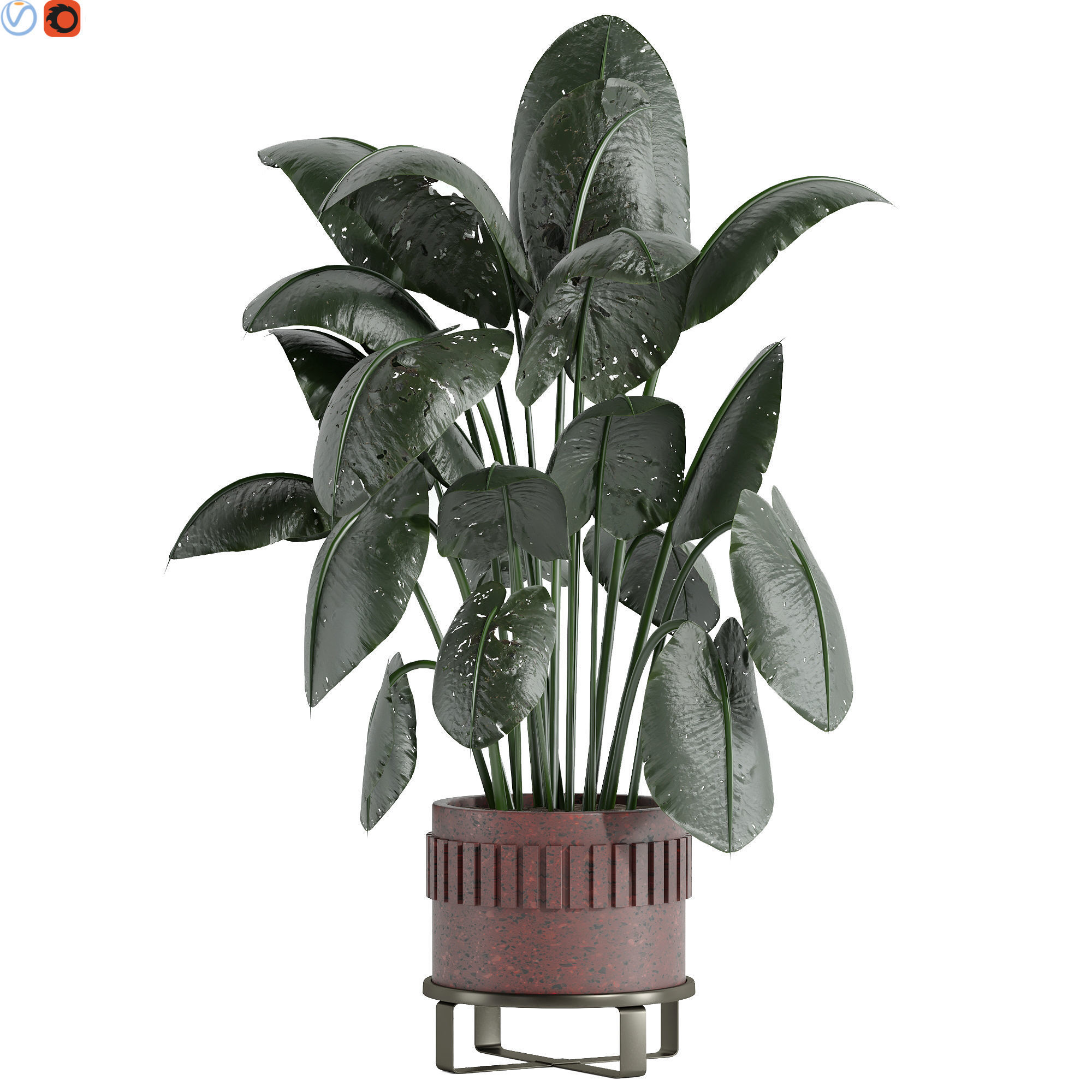 indoor plants 3D model_1
