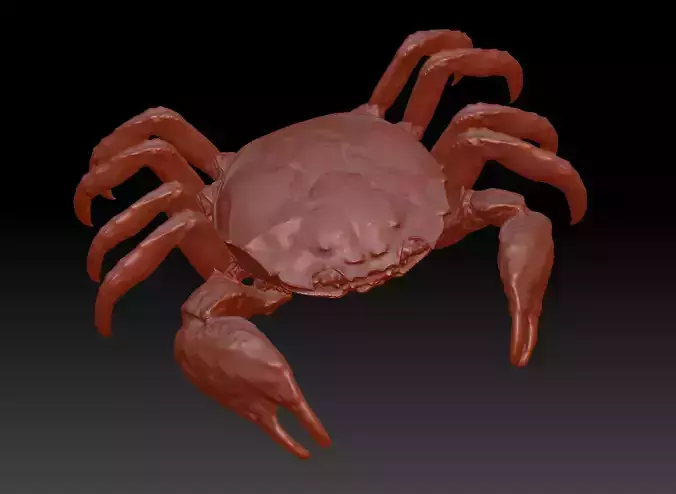 Crab 3D printing hairy crab model sculpture STL file download