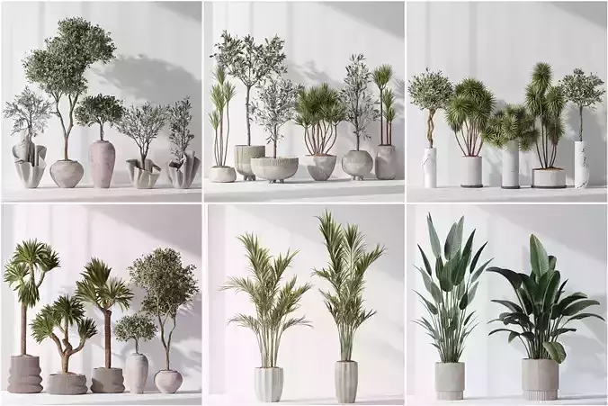  6 Different SETS of Plant indoor SET VOL111 3D Model Collection