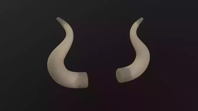 Bull Horn 3D Model Low-poly 3D model
