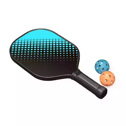 Pickleball set Paddle and Balls