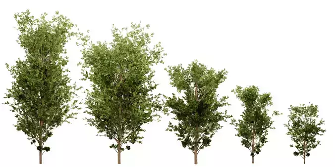 Collection plant vol 550 - blender model 