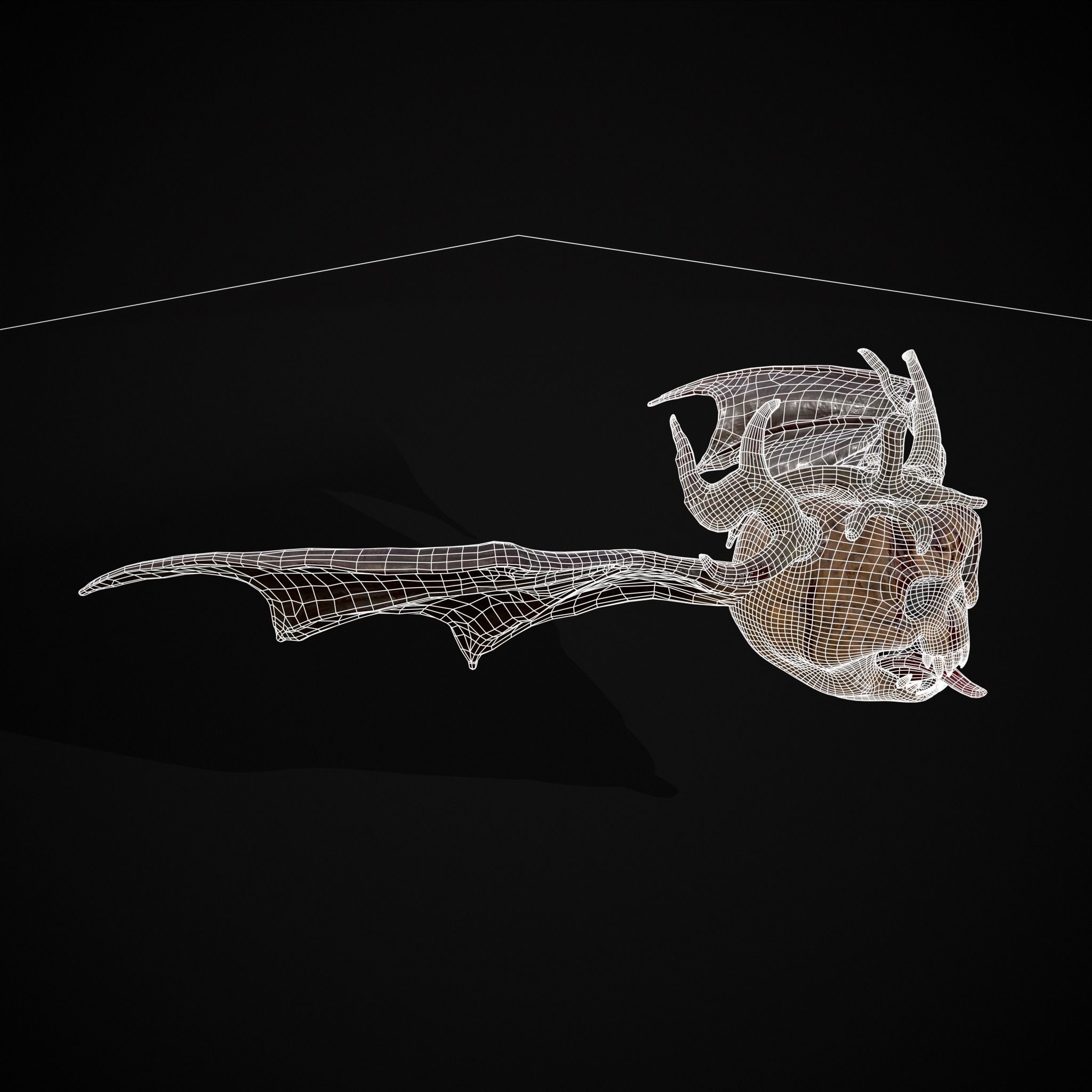 Pumpkin with Wings Low-poly 3D model_8