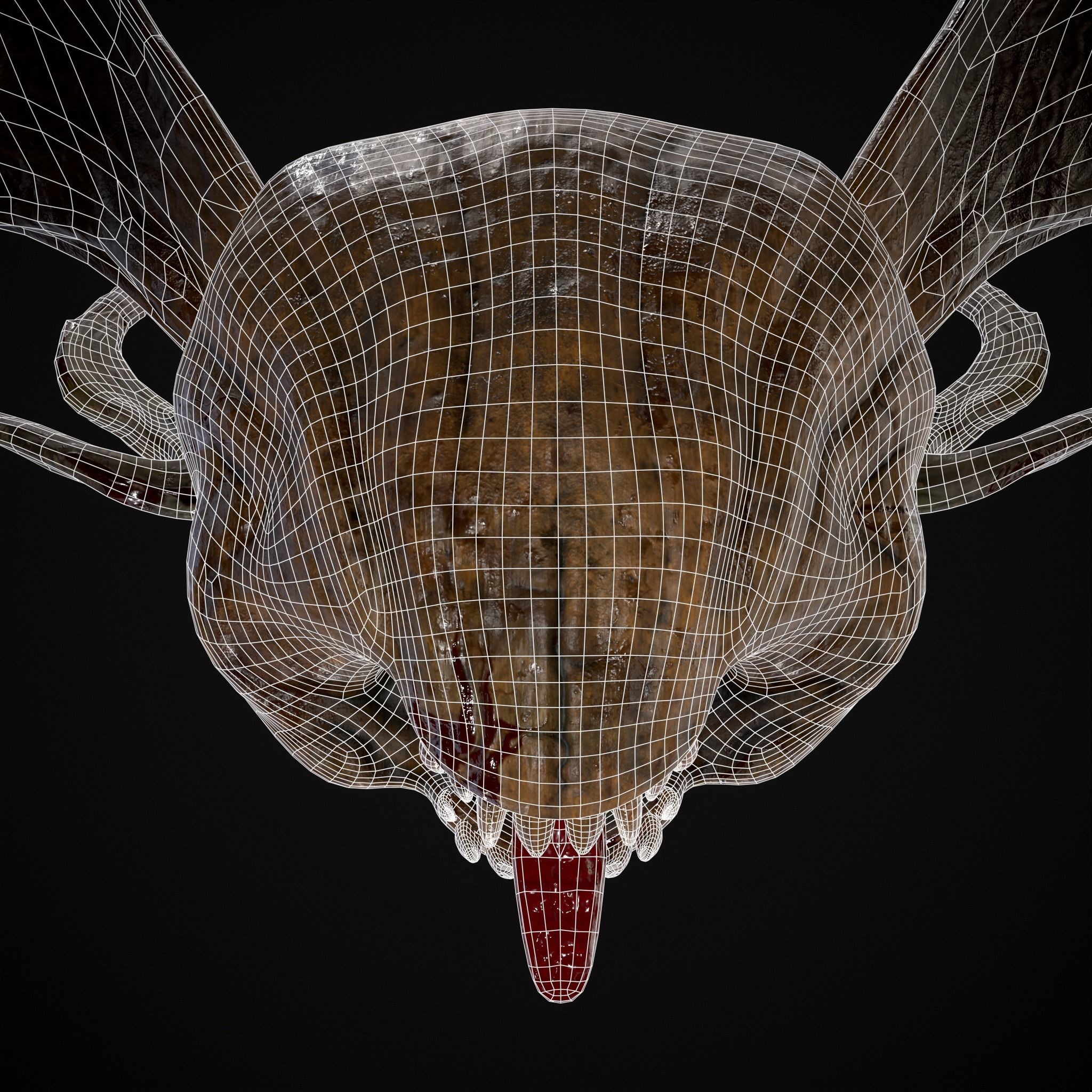 Pumpkin with Wings Low-poly 3D model_18