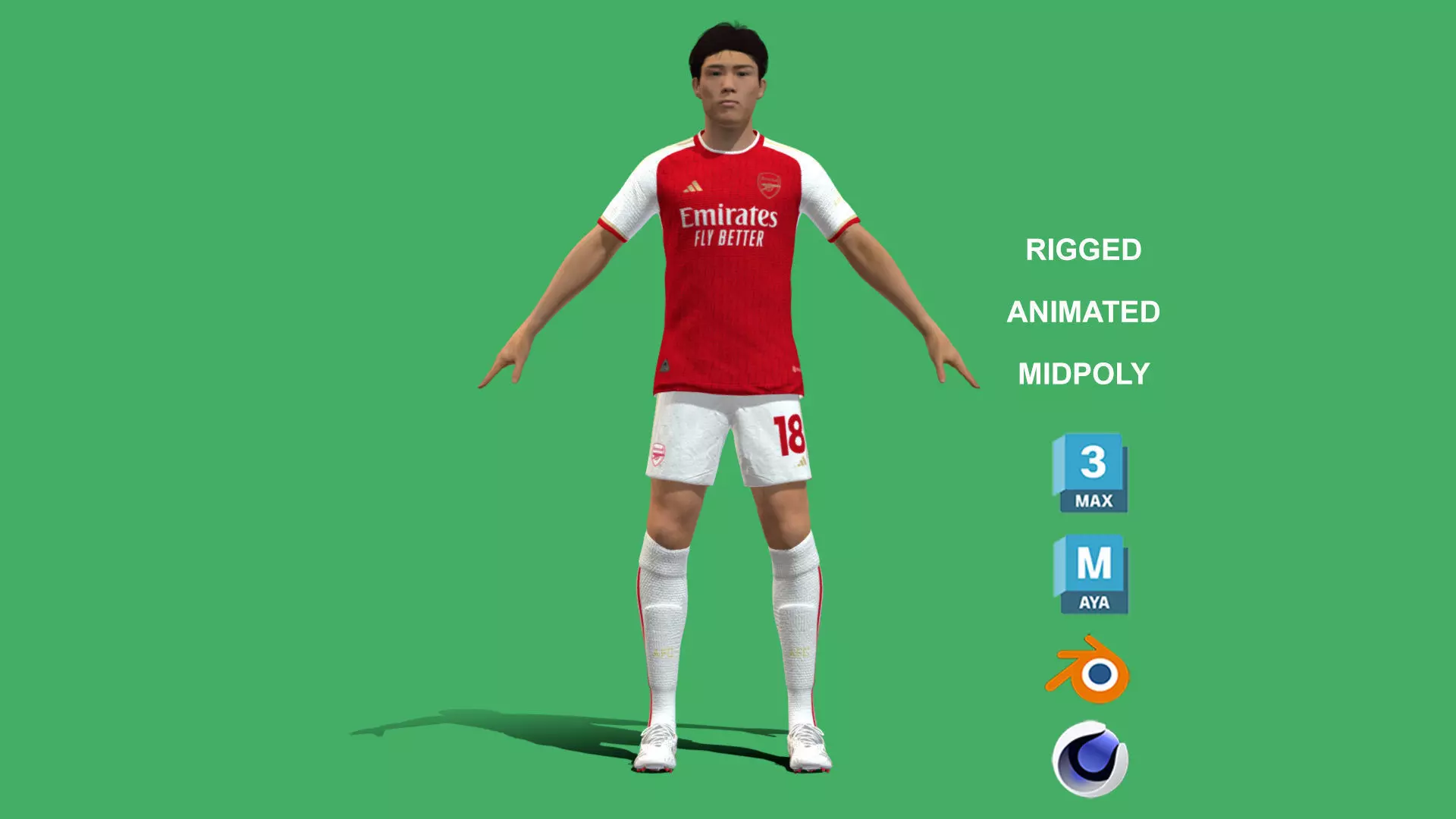 3D Rigged Takehiro Tomiyasu EPL 2024 3D model