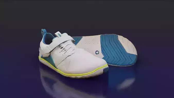 Xero Forza Trainer Clean scan