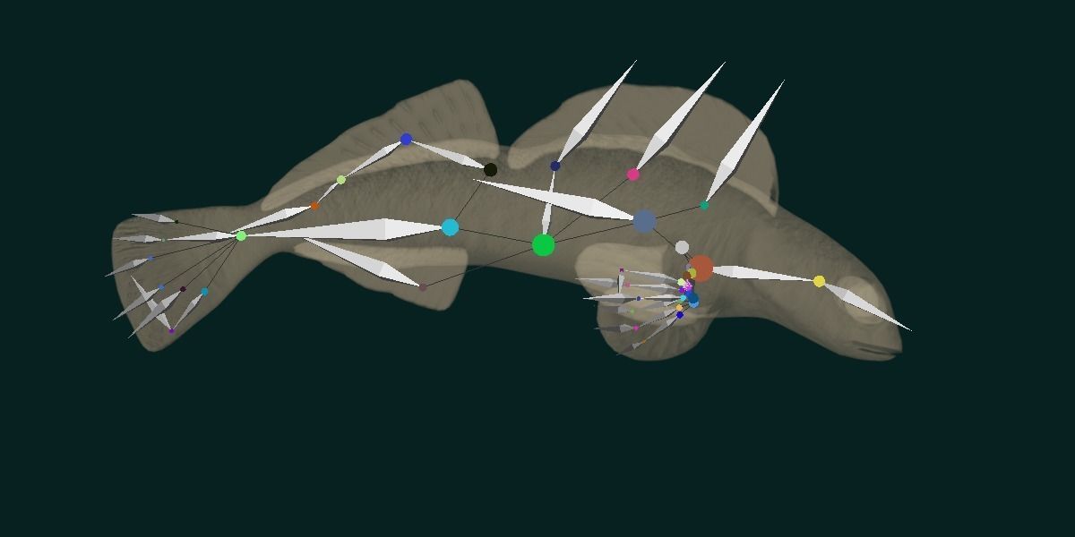 Roanoke logperch Fish Low-poly 3D model_15