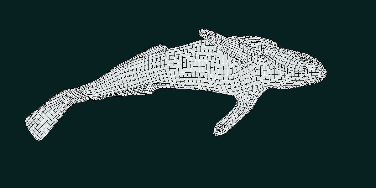 Roanoke logperch Fish Low-poly 3D model_10