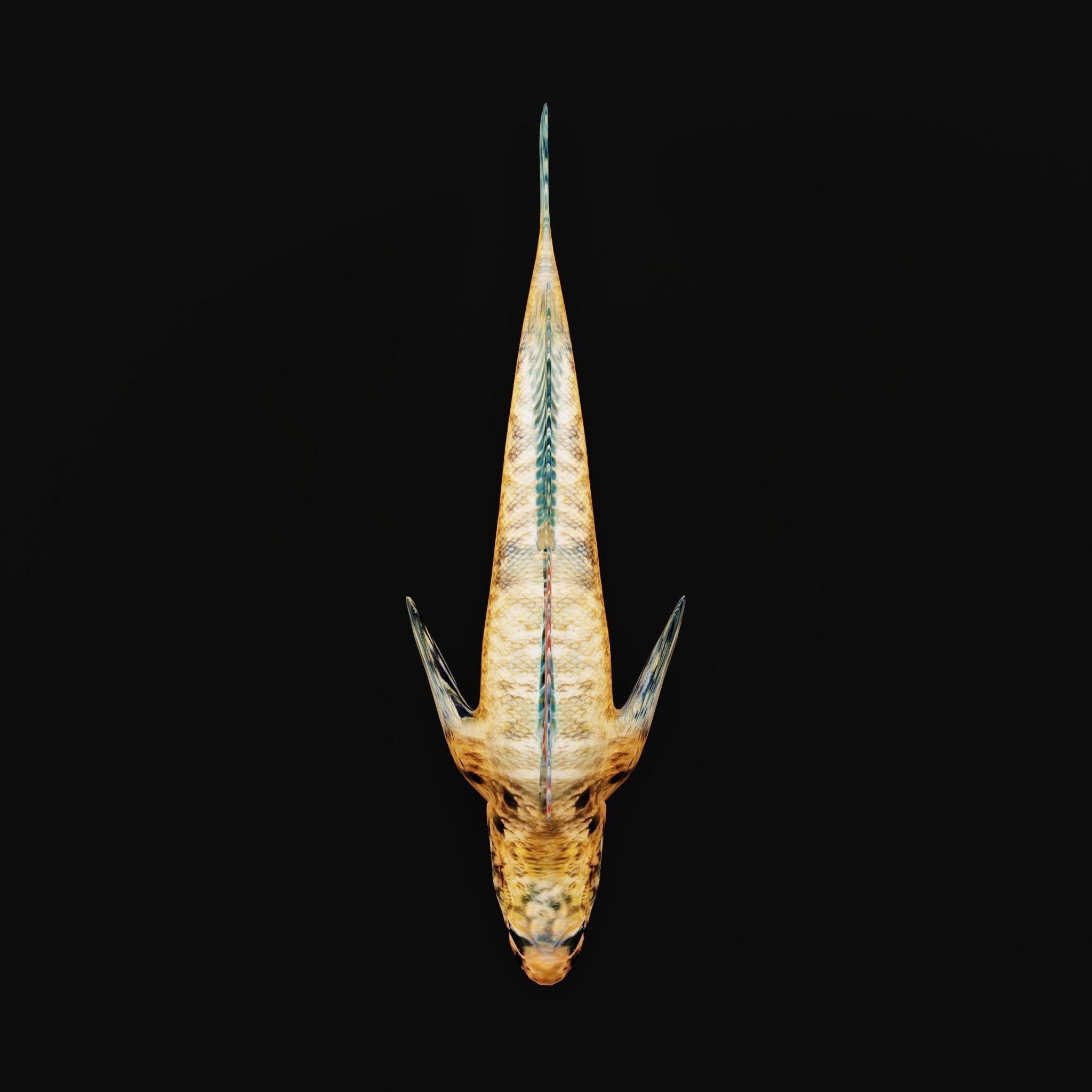 Roanoke logperch Fish Low-poly 3D model_4
