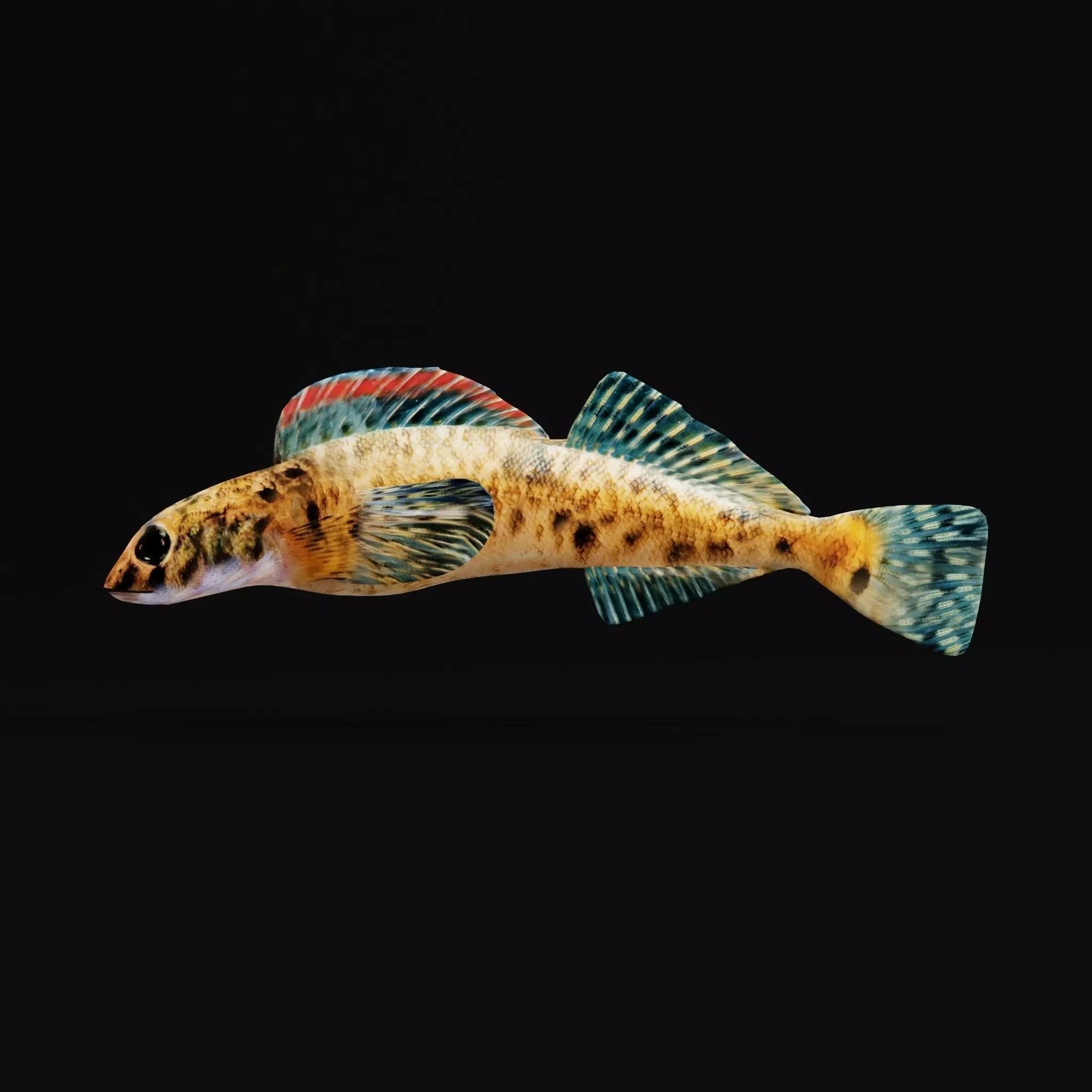 Roanoke logperch Fish Low-poly 3D model_0