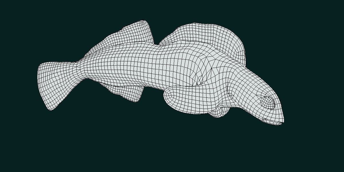 Roanoke logperch Fish Low-poly 3D model_9