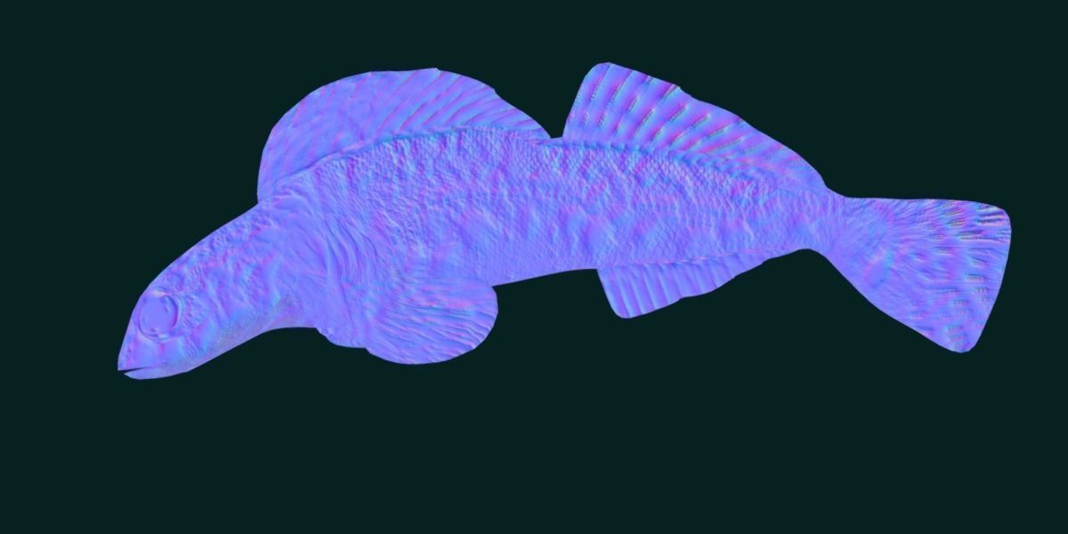 Roanoke logperch Fish Low-poly 3D model_18