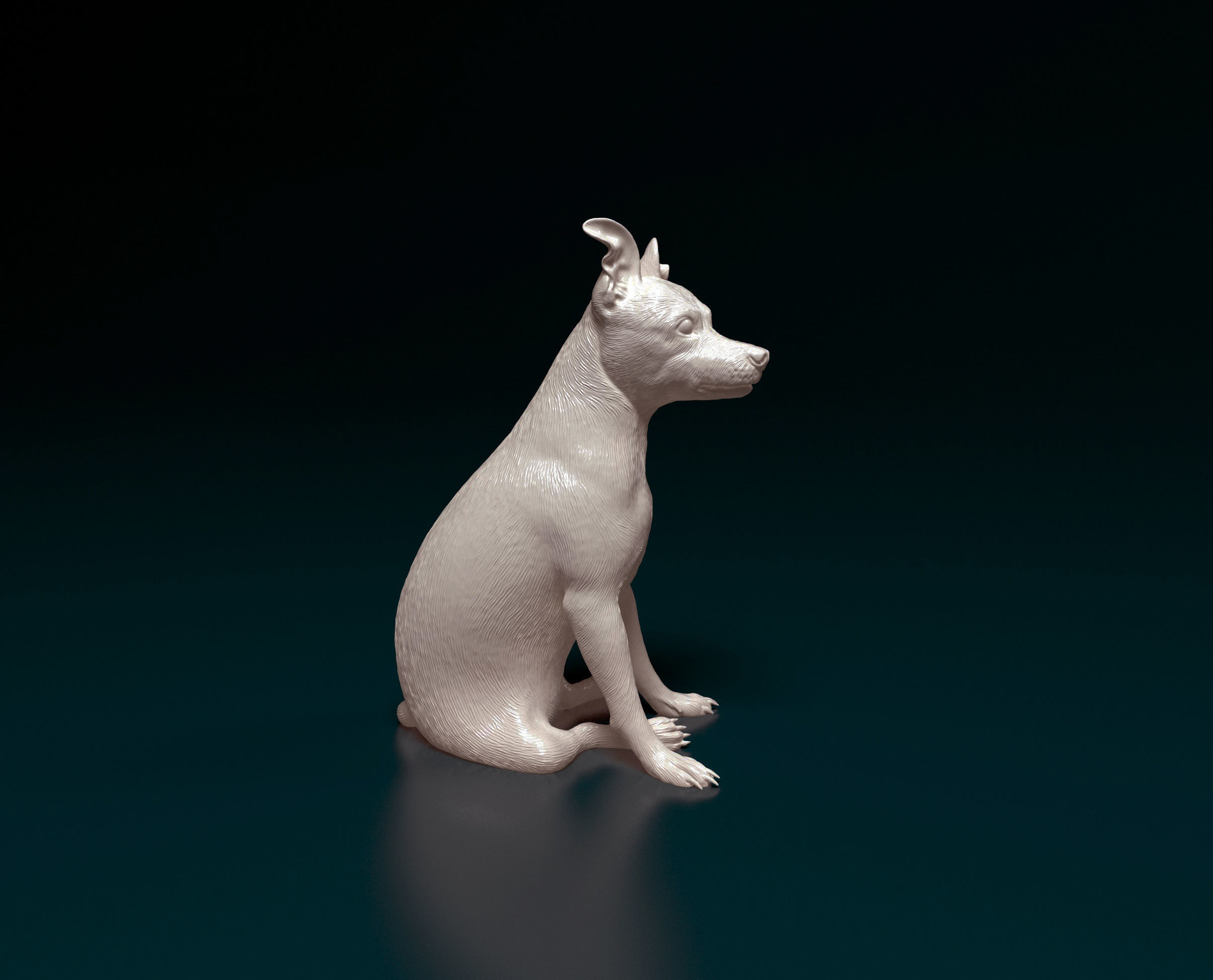 Miniature Pinscher 3D print model_2