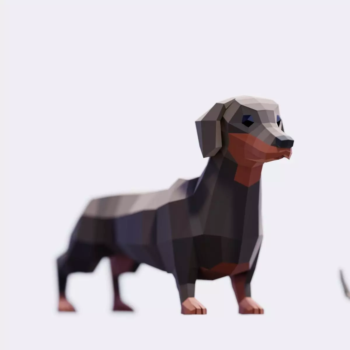 Dachshund Dogs Low-poly 3D model_0