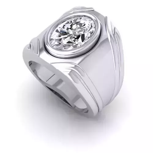 3D CAD NJ -973-Ring 3D print model