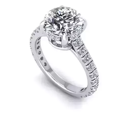 3D CAD NJ -965-Ring 3D print model