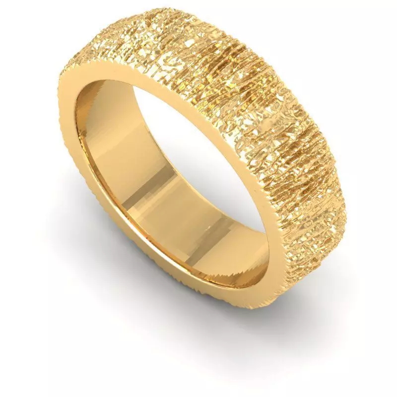 3D CAD NJ -917-Ring 3D print model