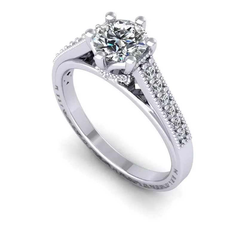 3D CAD NJ -912-Ring 3D print model