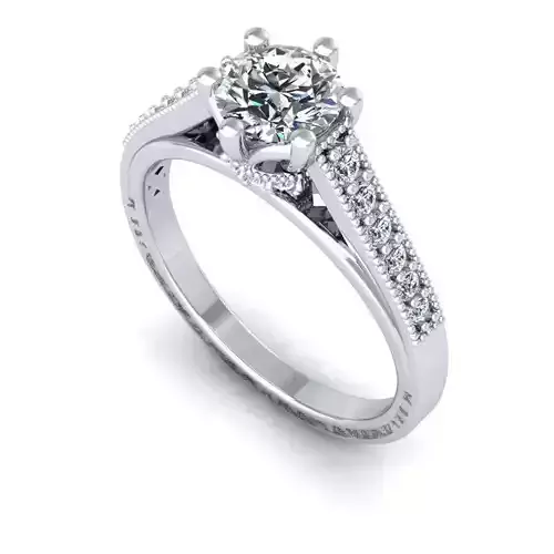 3D CAD NJ -912-Ring 3D print model