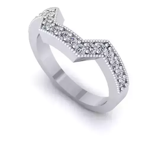 CAD -898-Ring