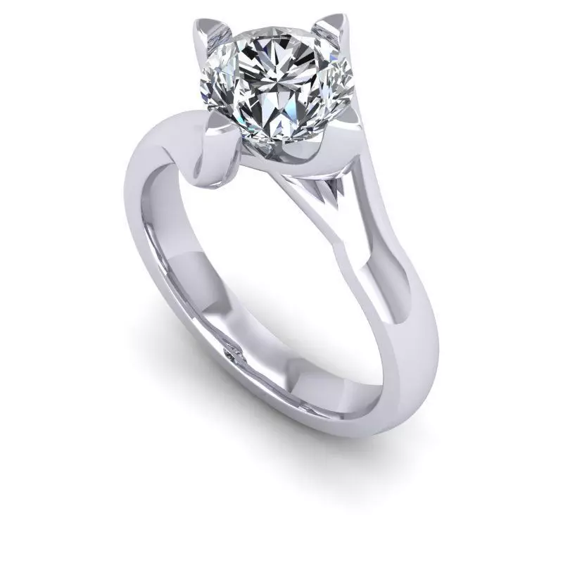 CAD -888-Ring 3D print model