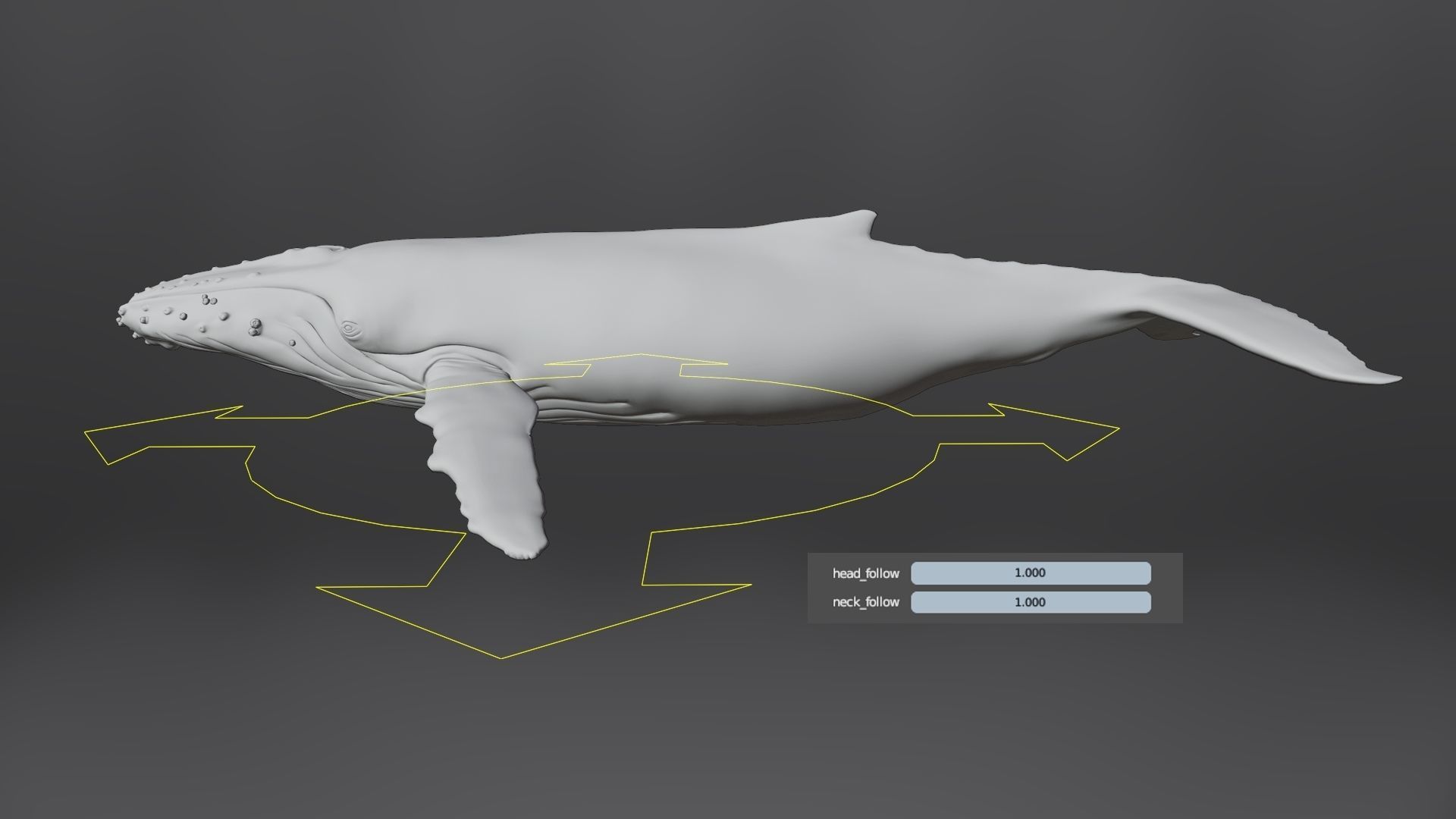 Humpback Whale VFX Grace 3D model_19