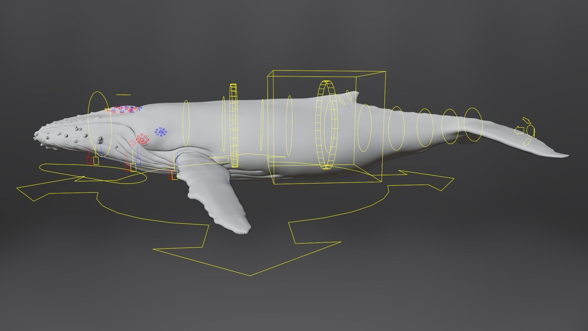 Humpback Whale VFX Grace 3D model_17
