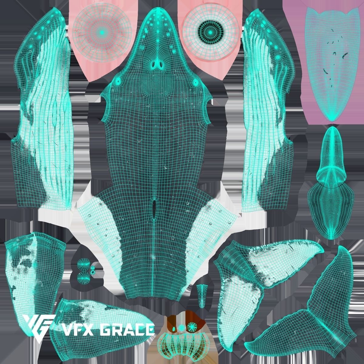 Humpback Whale VFX Grace 3D model_20