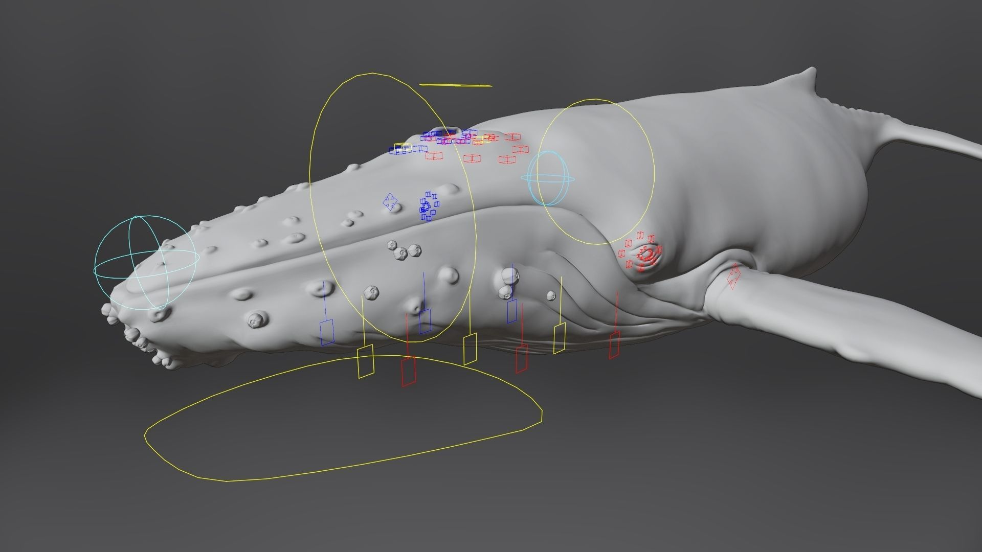 Humpback Whale VFX Grace 3D model_18