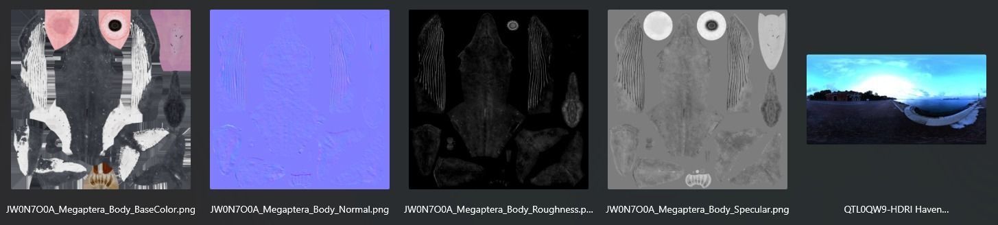 Humpback Whale VFX Grace 3D model_21