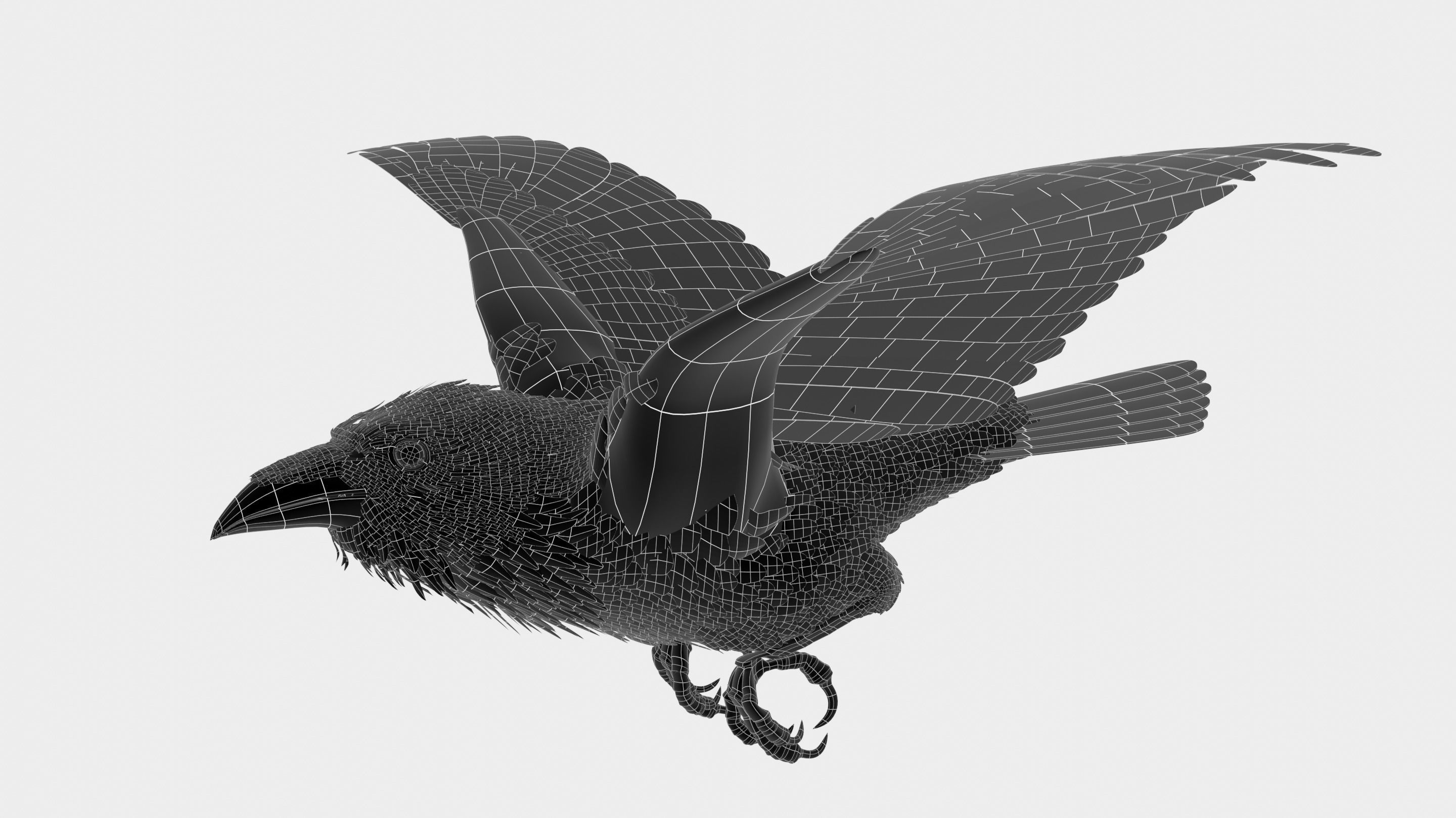 RAVEN - Blender 3D model_32