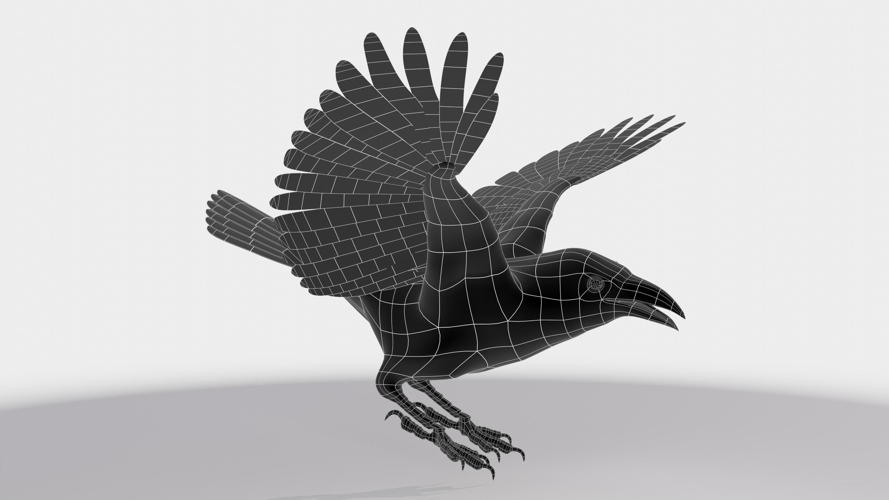 RAVEN - Blender 3D model_22