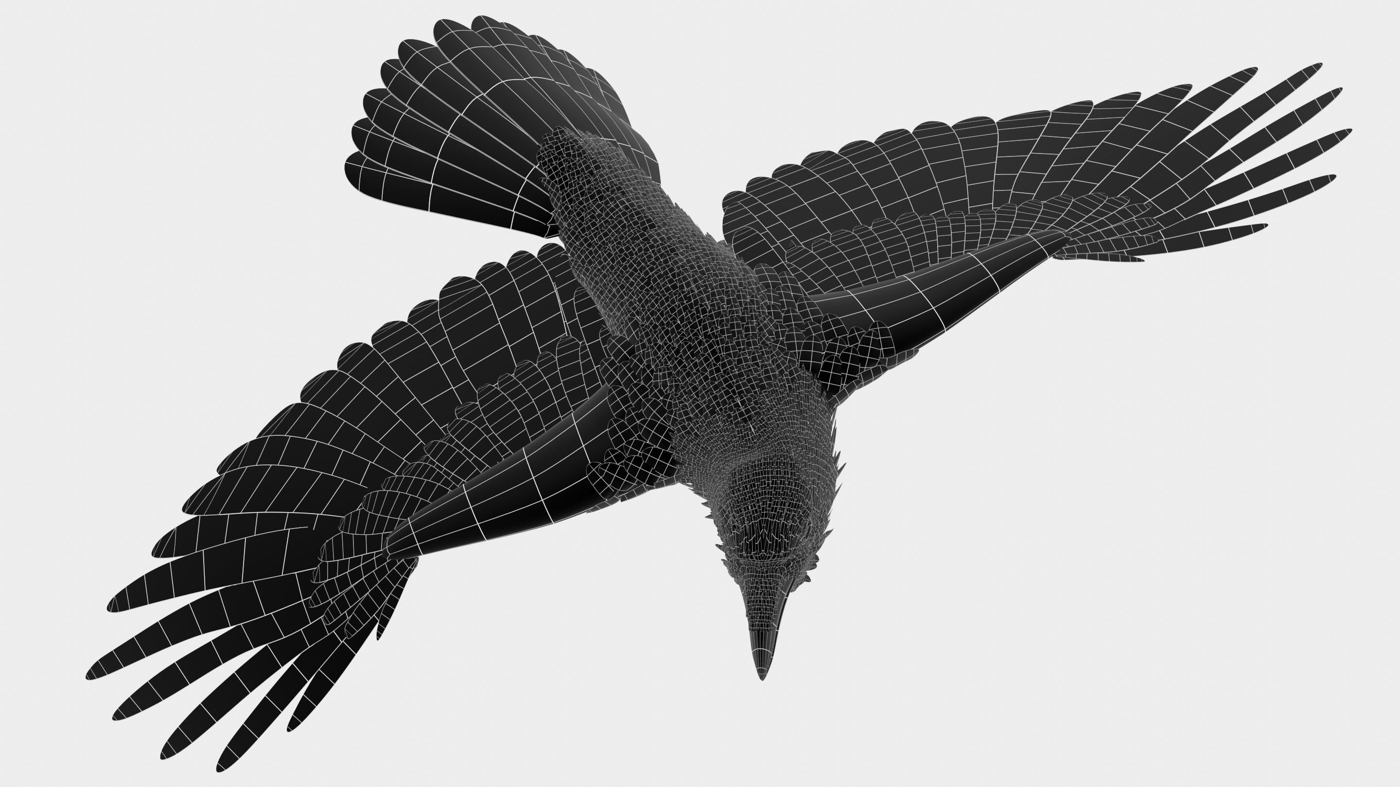 RAVEN - Blender 3D model_55