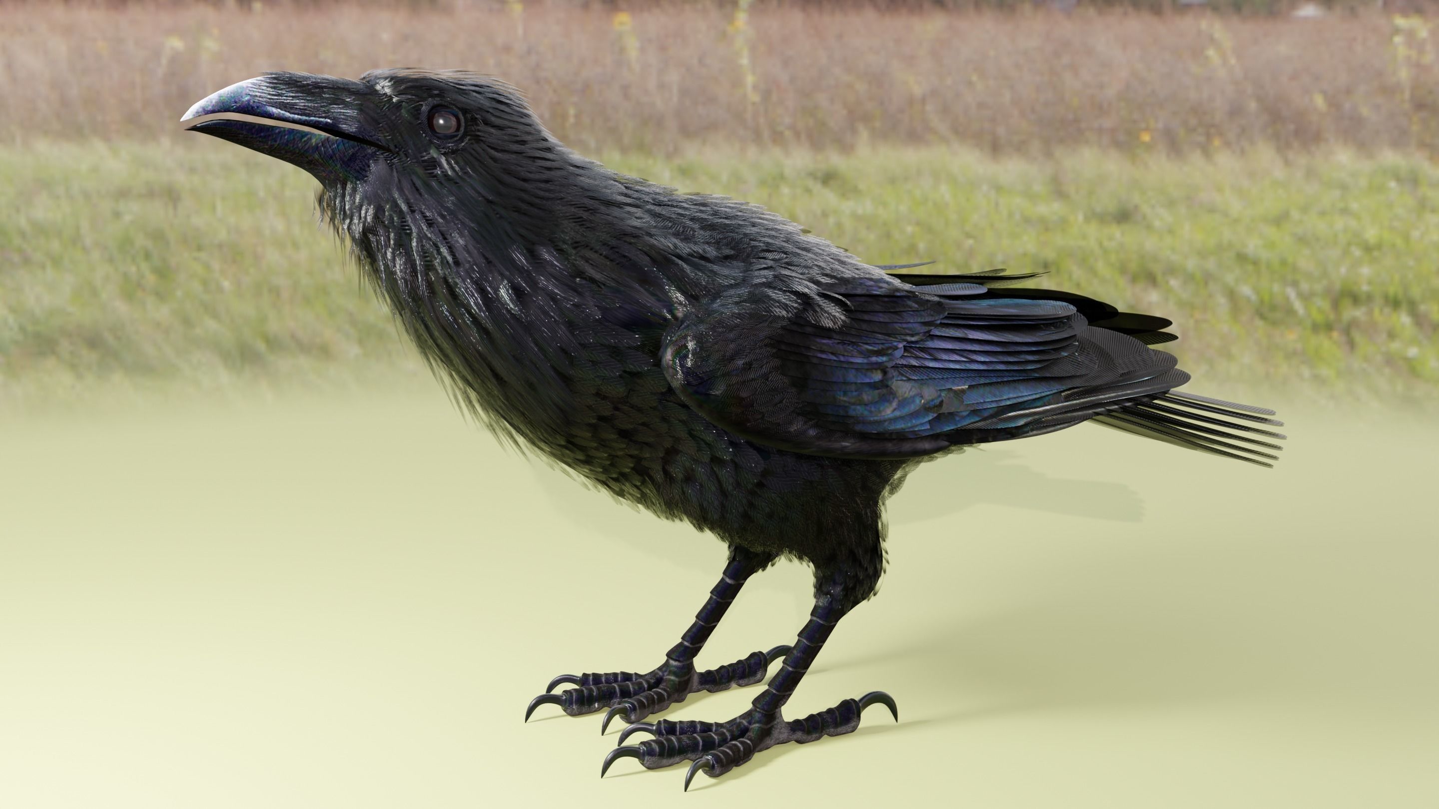 RAVEN - Blender 3D model_23