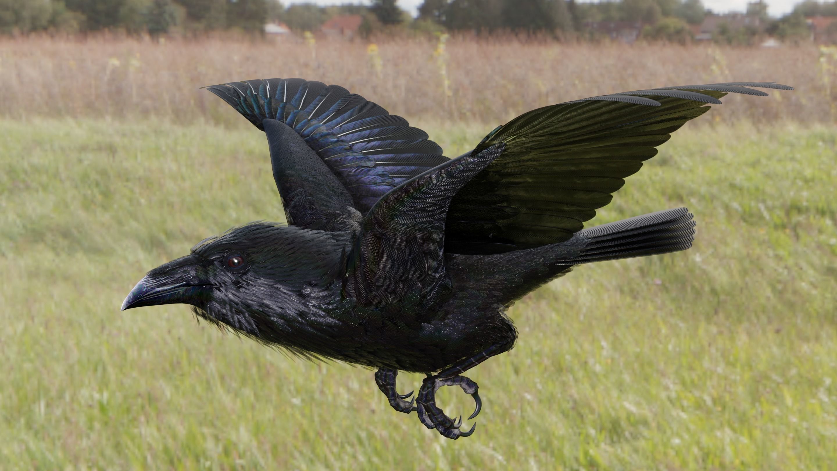 RAVEN - Blender 3D model_31