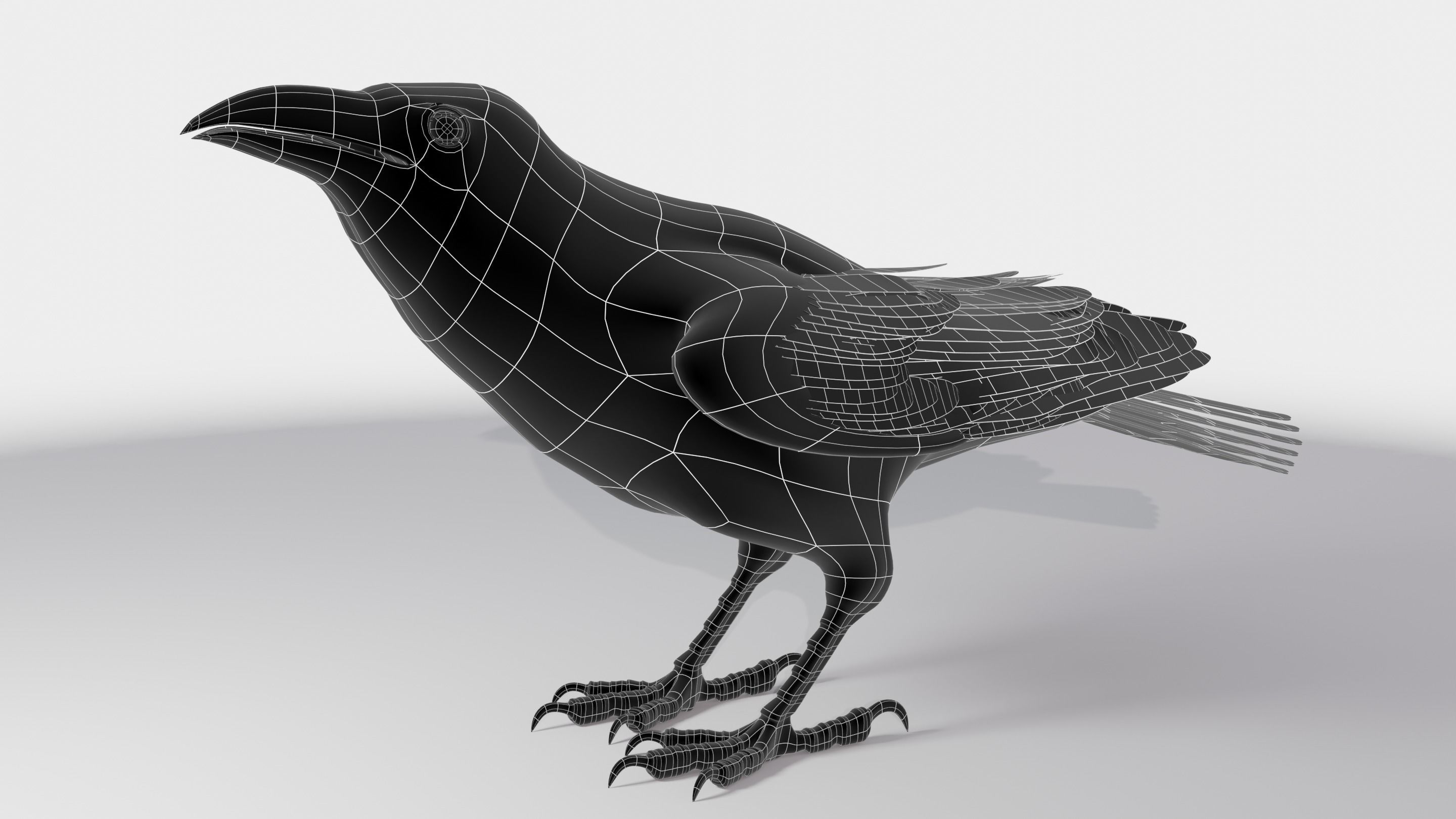 RAVEN - Blender 3D model_25