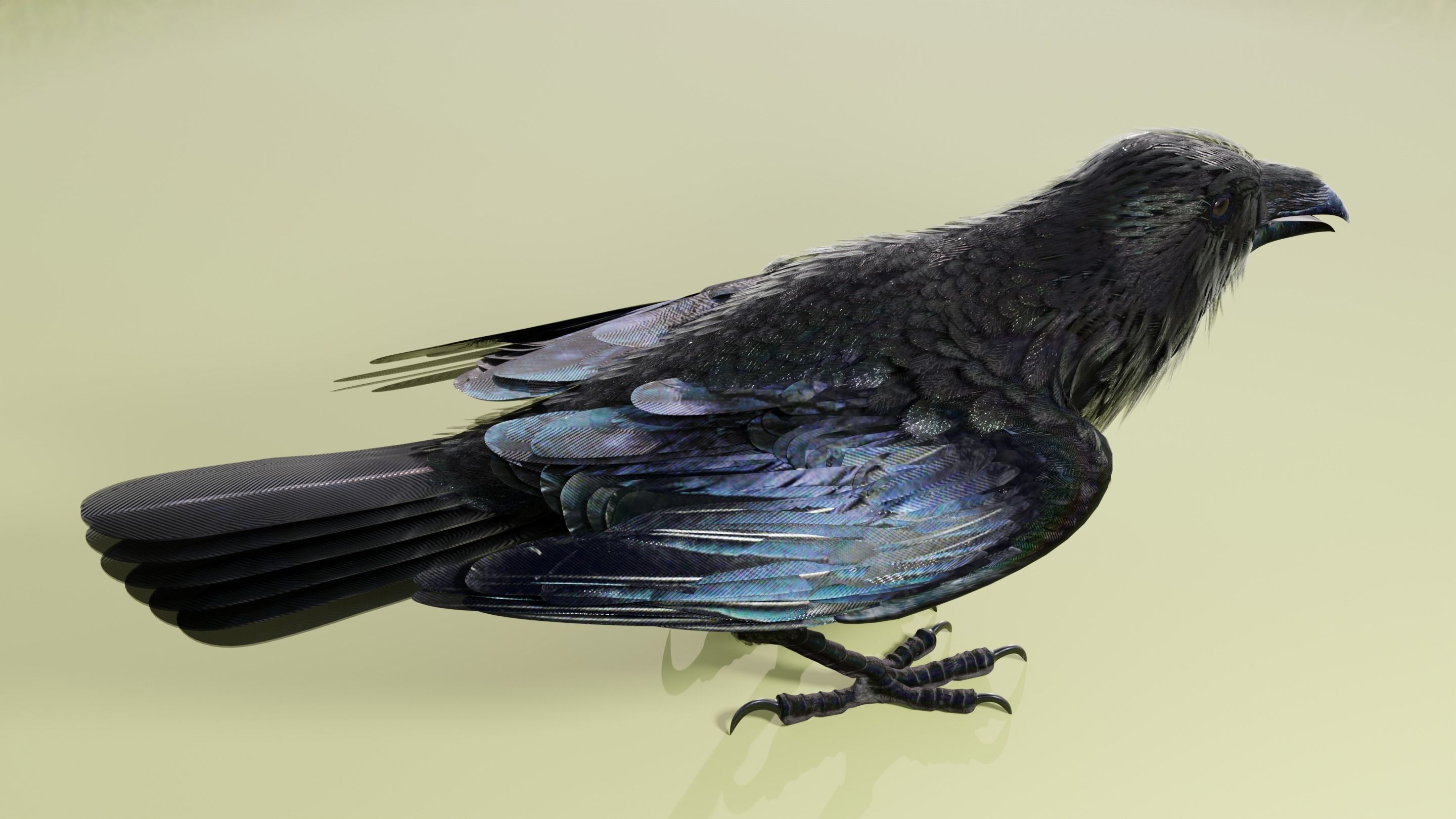 RAVEN - Blender 3D model_34