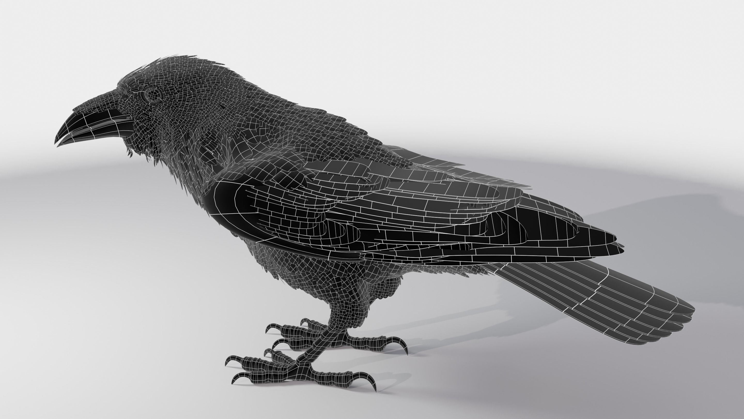 RAVEN - Blender 3D model_27