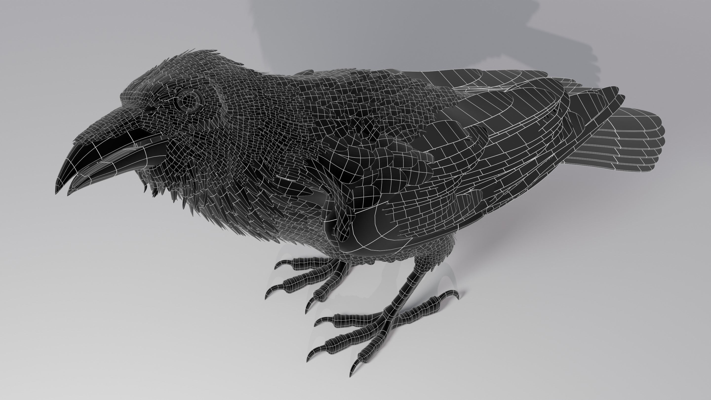 RAVEN - Blender 3D model_29