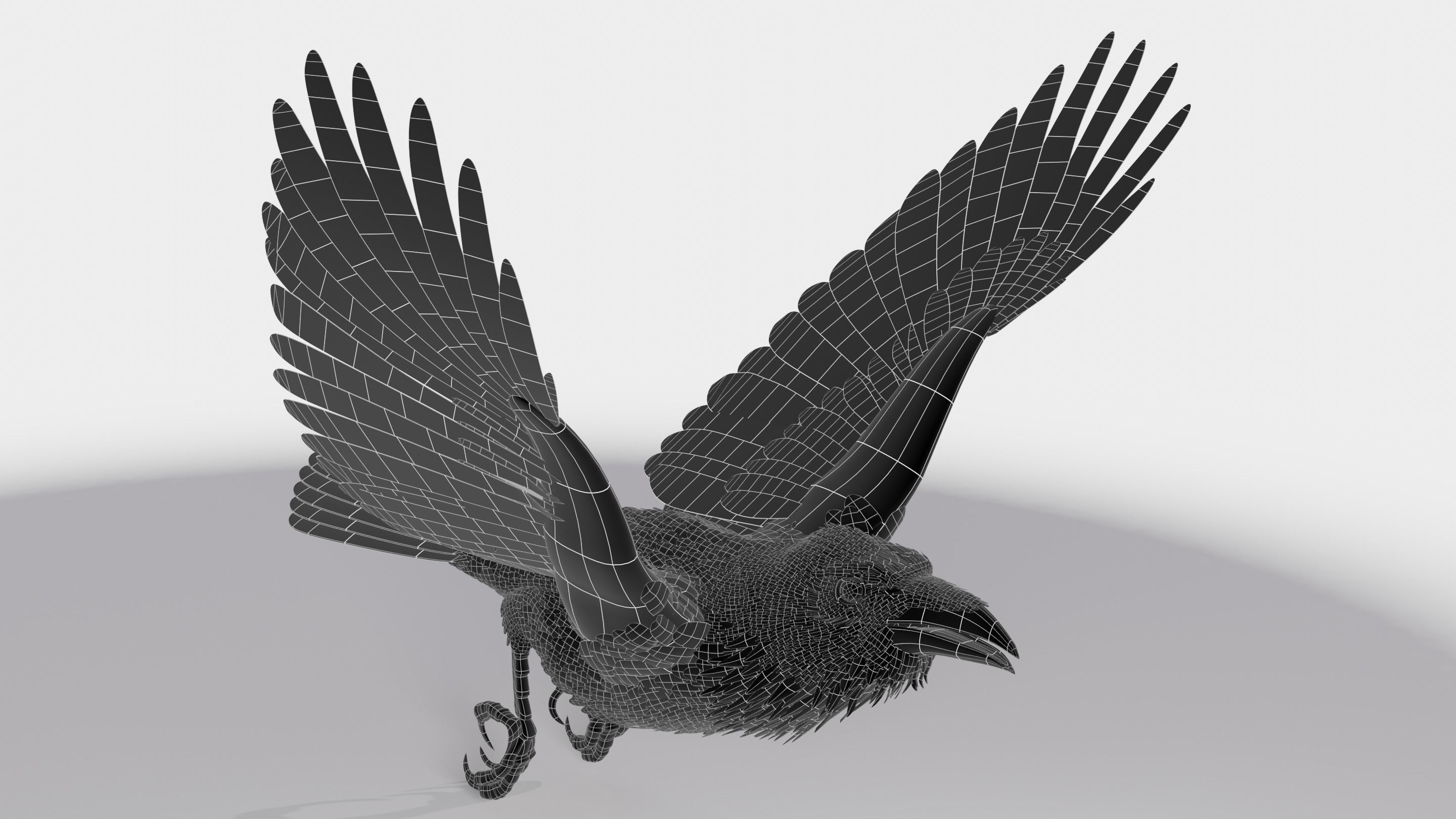 RAVEN - Blender 3D model_42
