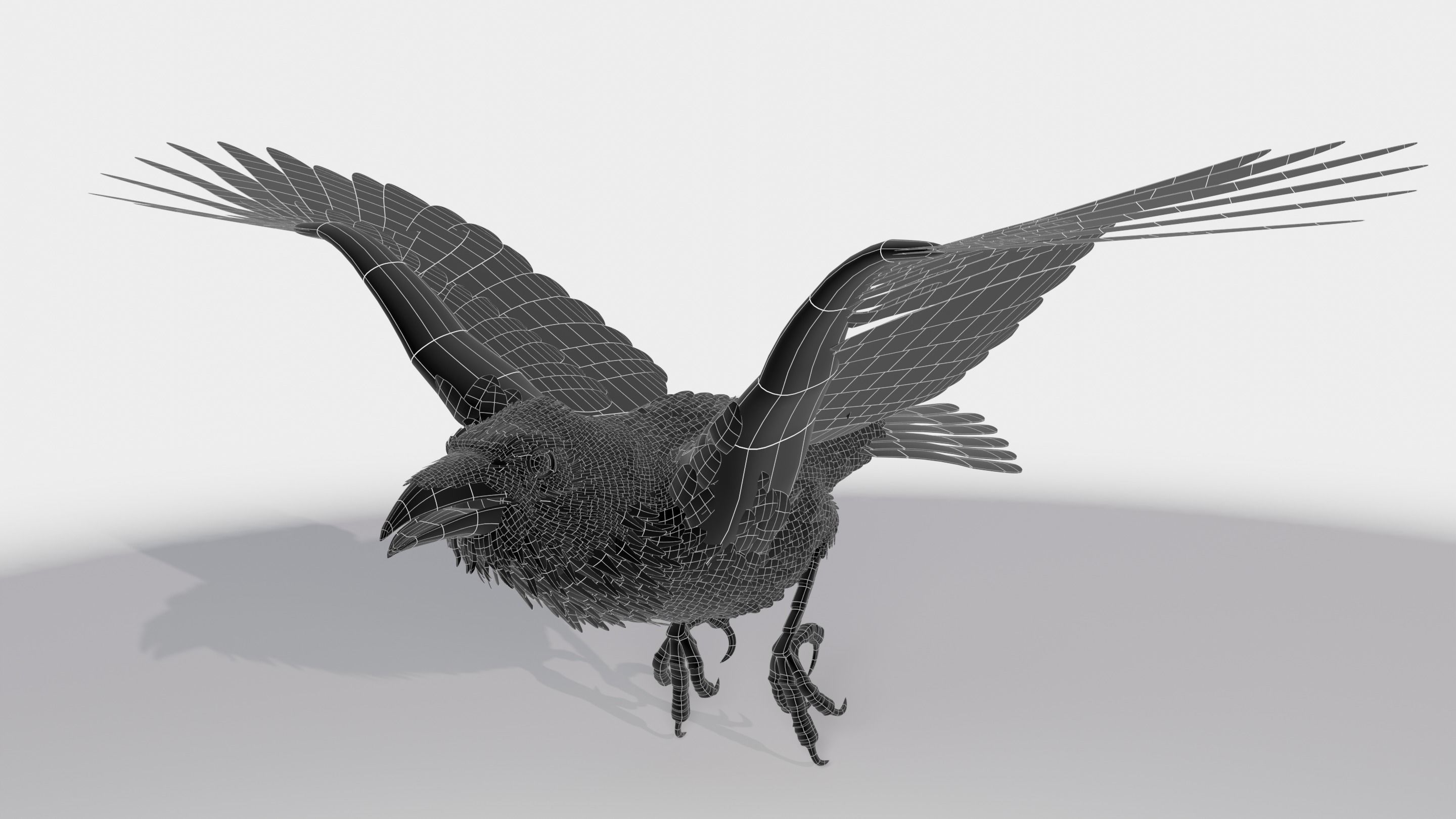 RAVEN - Blender 3D model_40
