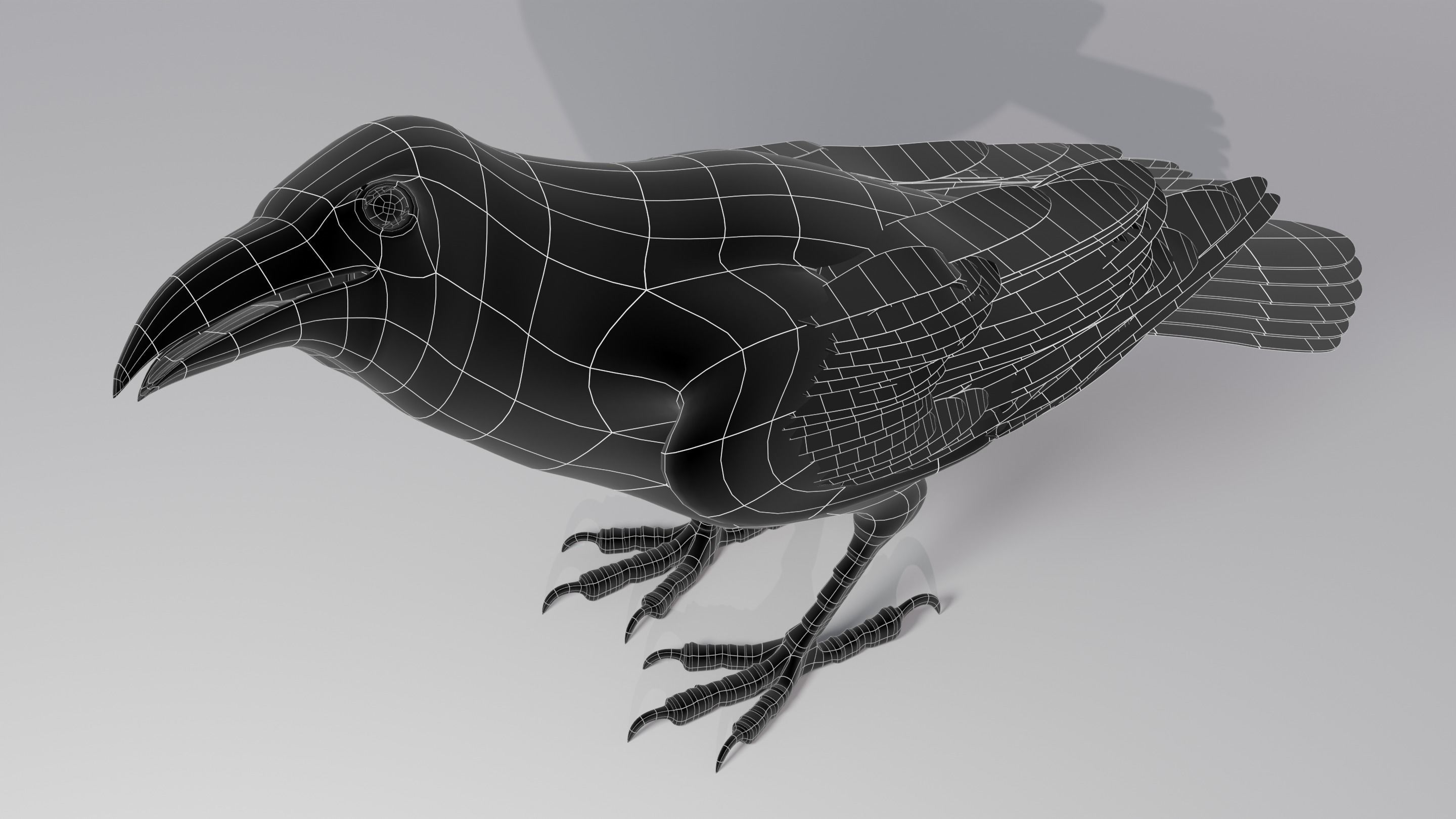 RAVEN - Blender 3D model_30