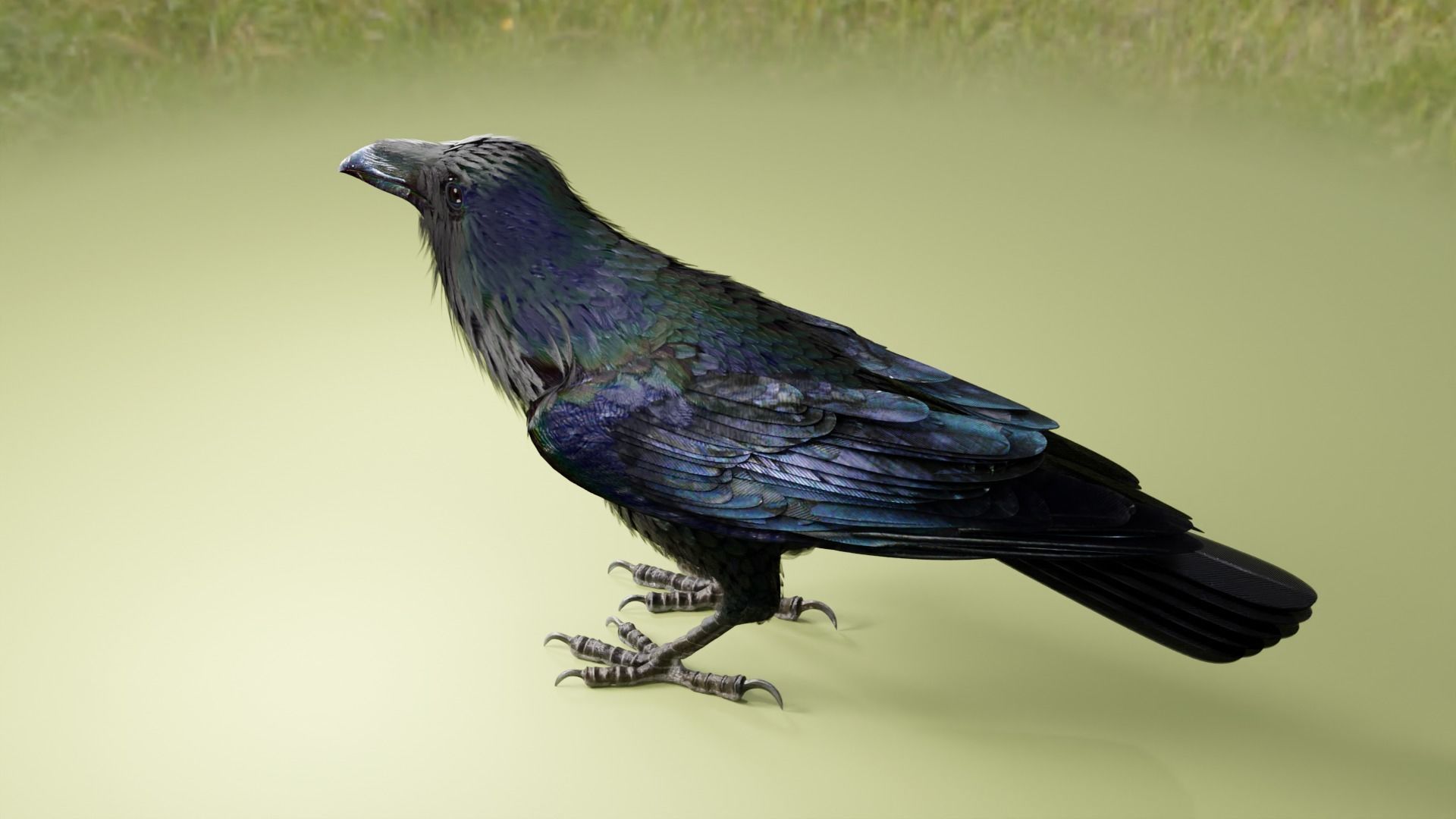 RAVEN - Blender 3D model_10