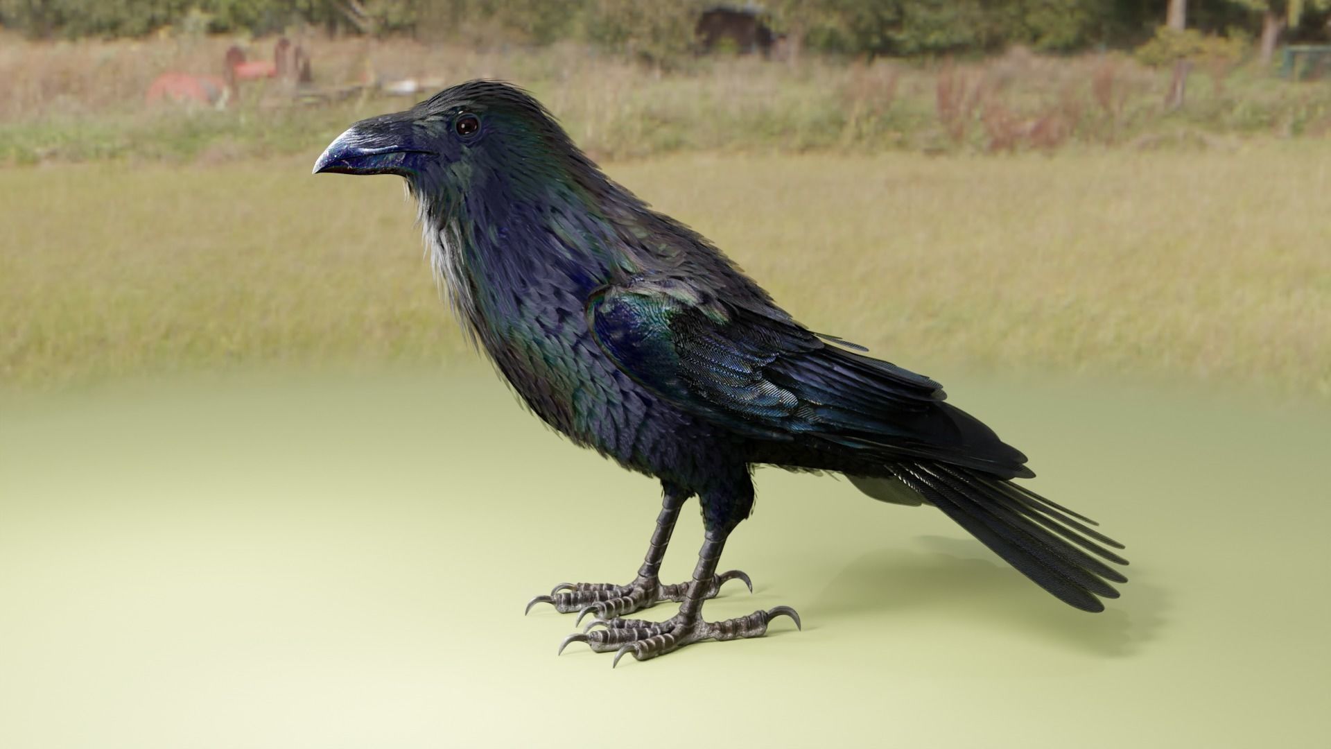 RAVEN - Blender 3D model_13