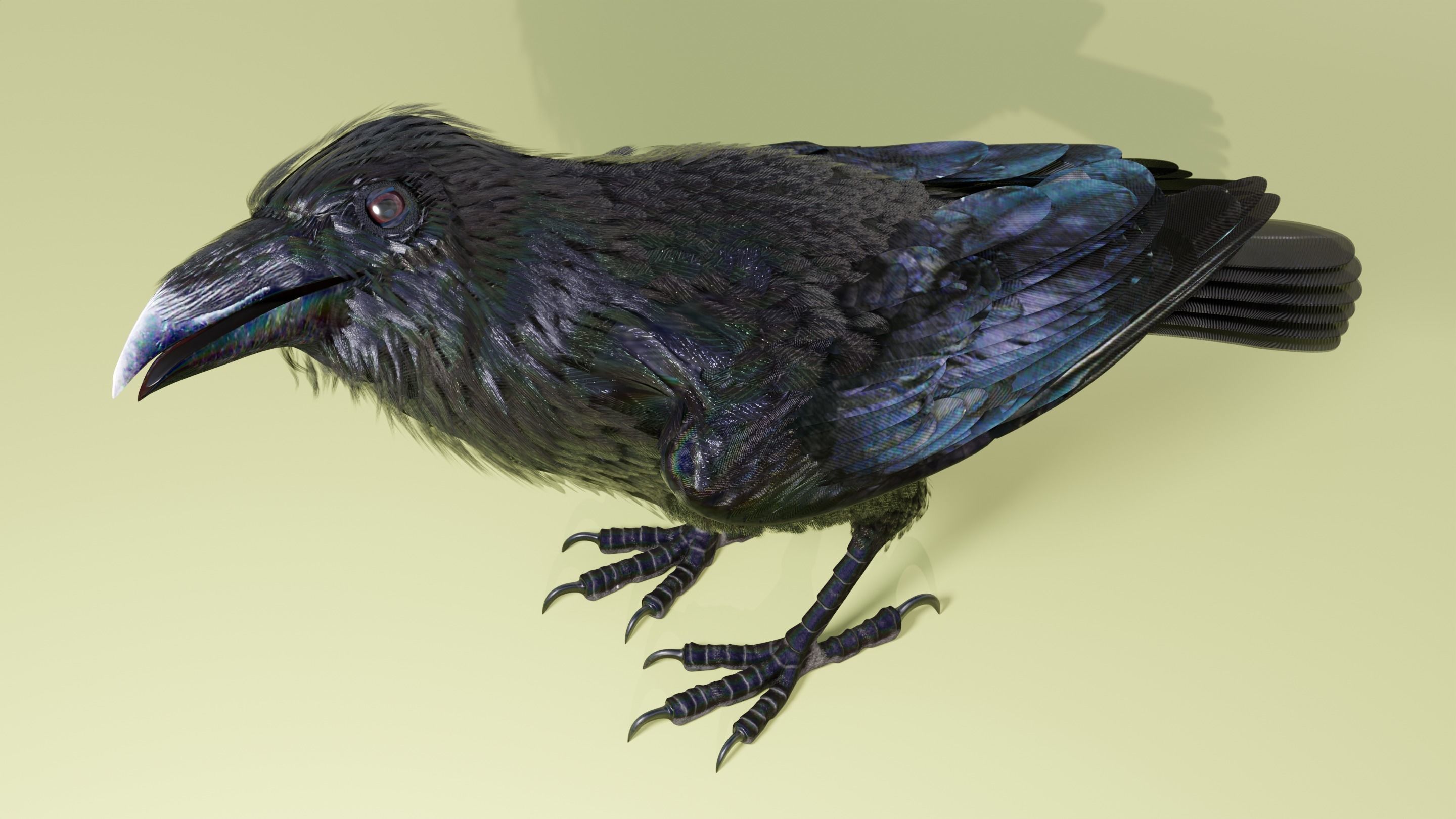 RAVEN - Blender 3D model_28