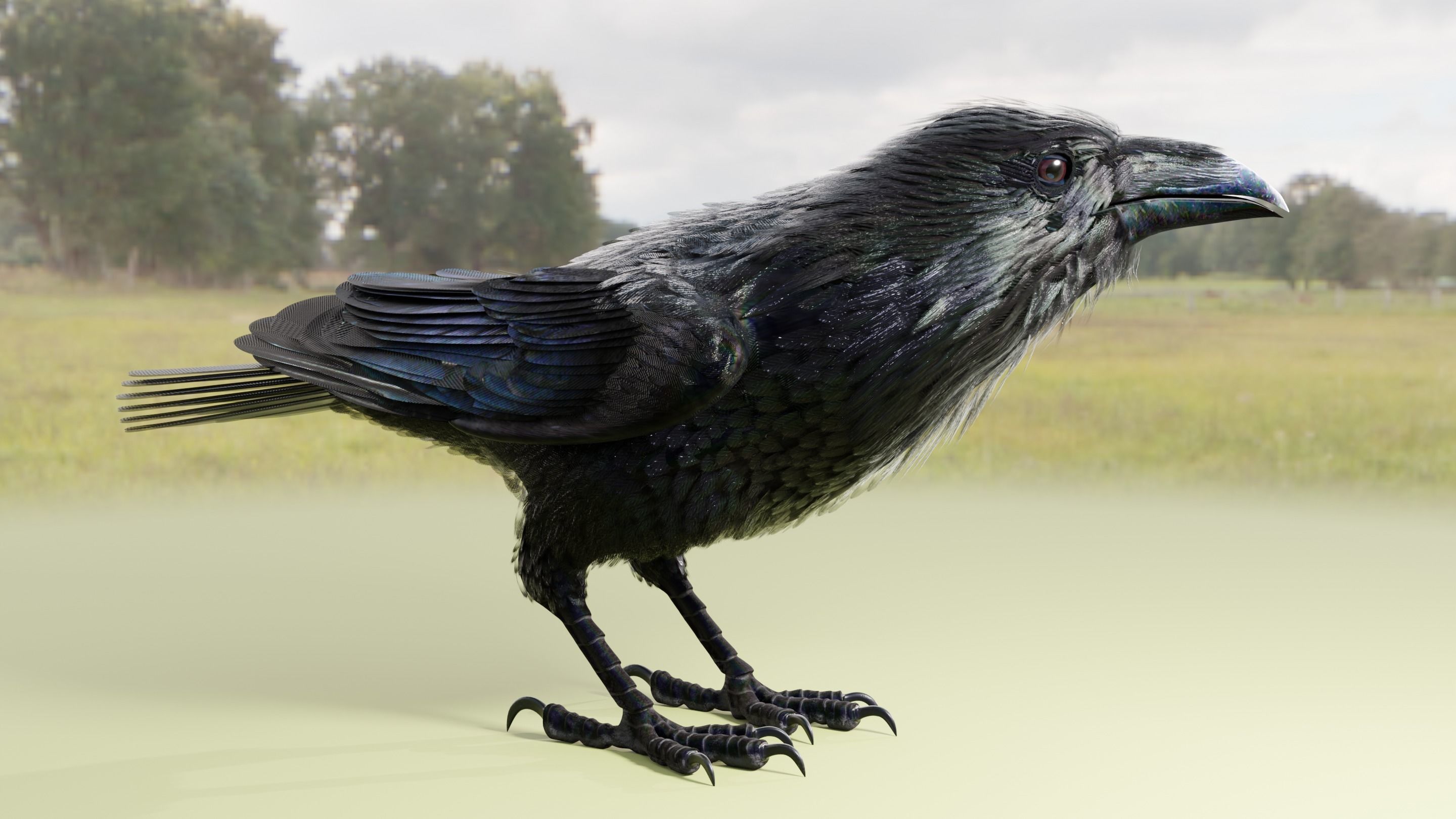 RAVEN - Blender 3D model_9