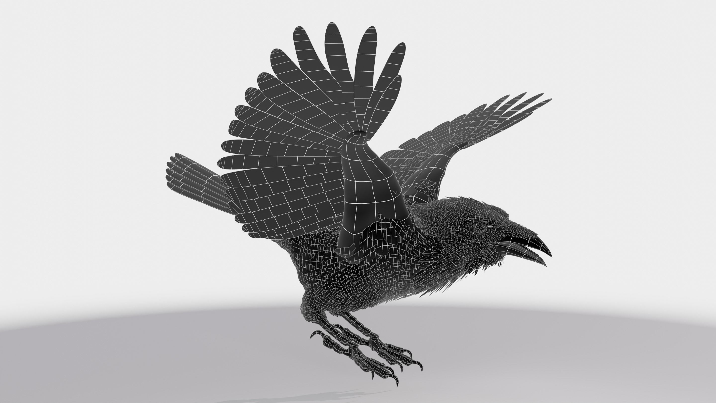RAVEN - Blender 3D model_21