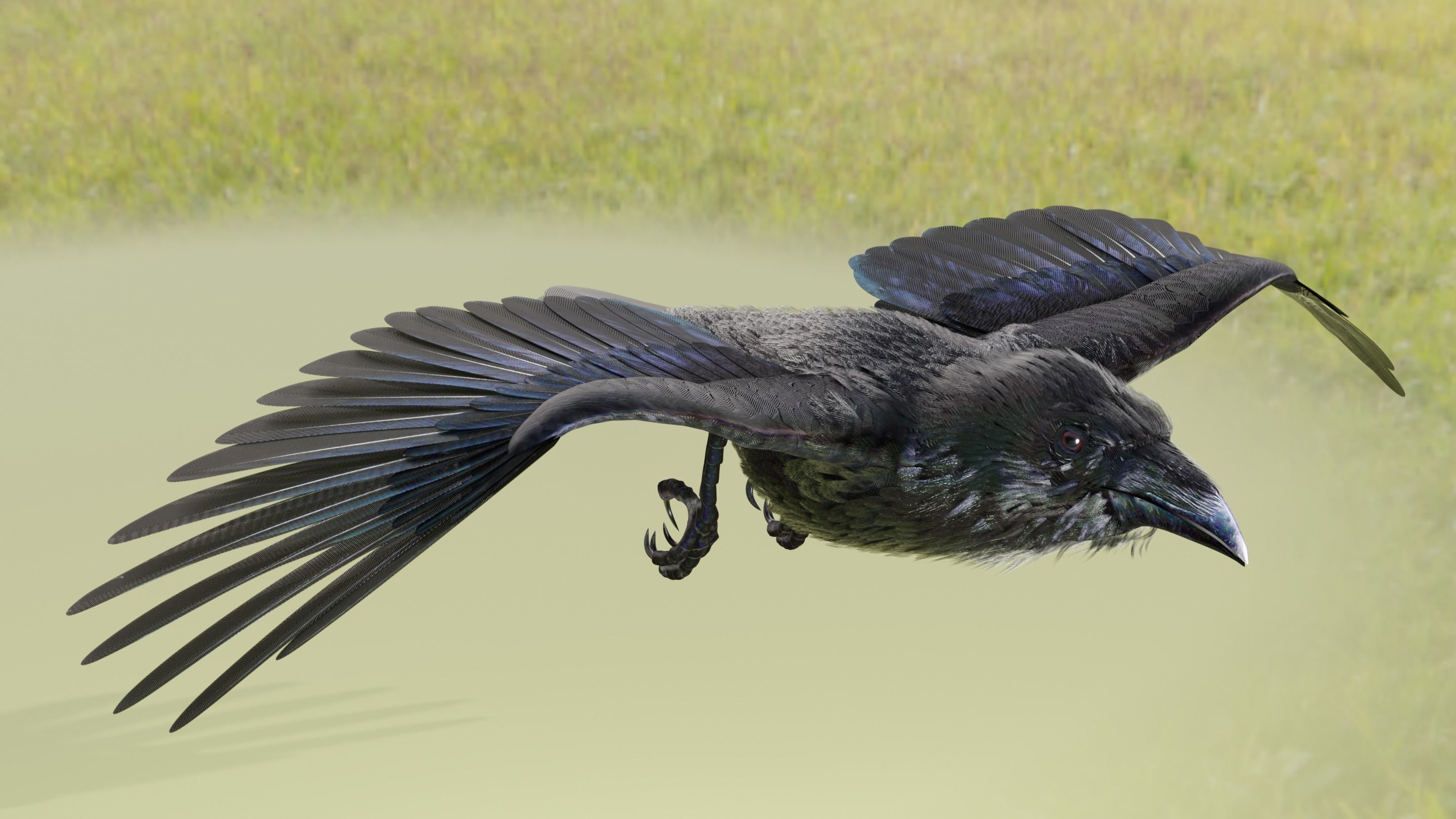 RAVEN - Blender 3D model_43