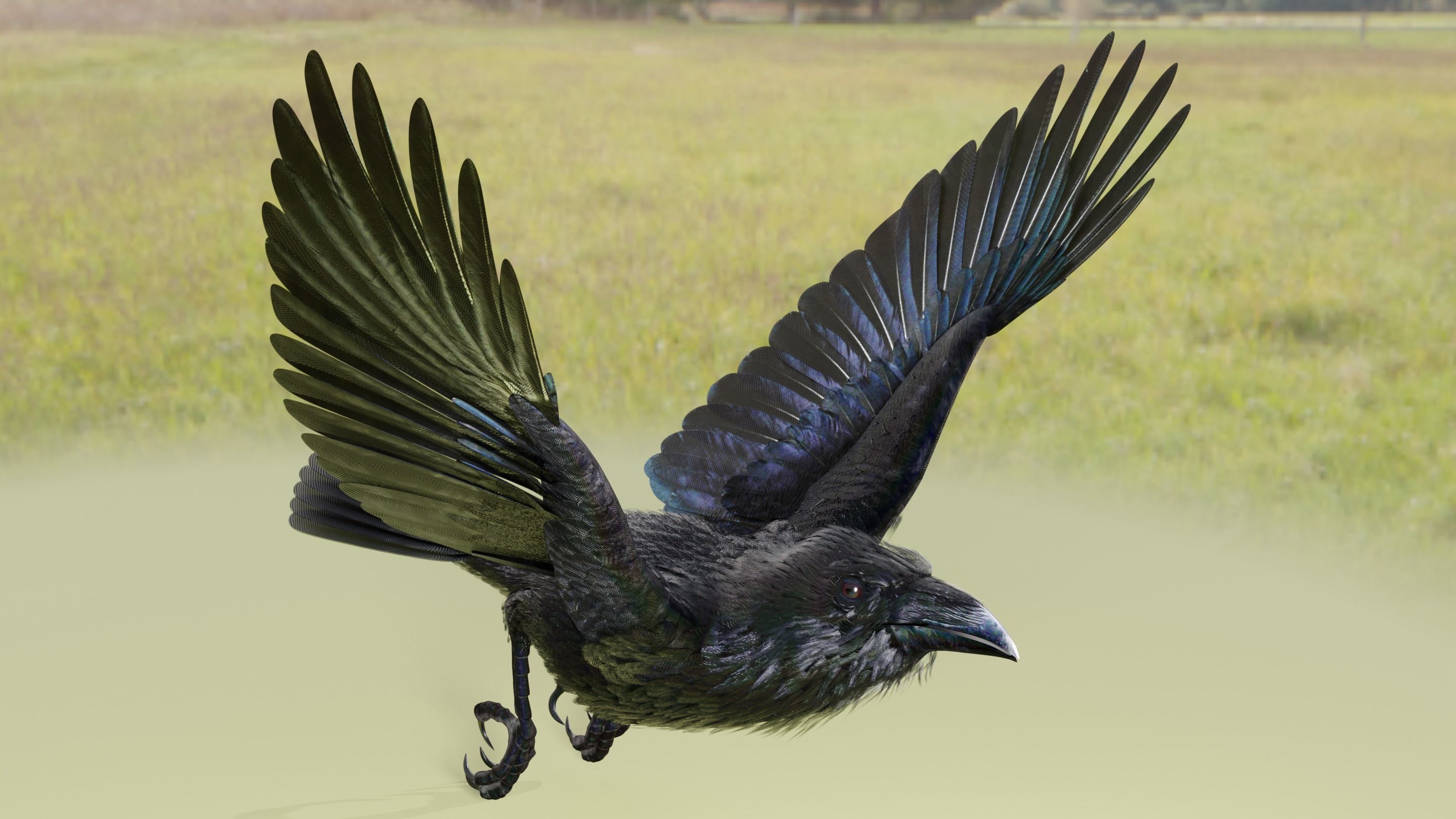 RAVEN - Blender 3D model_41